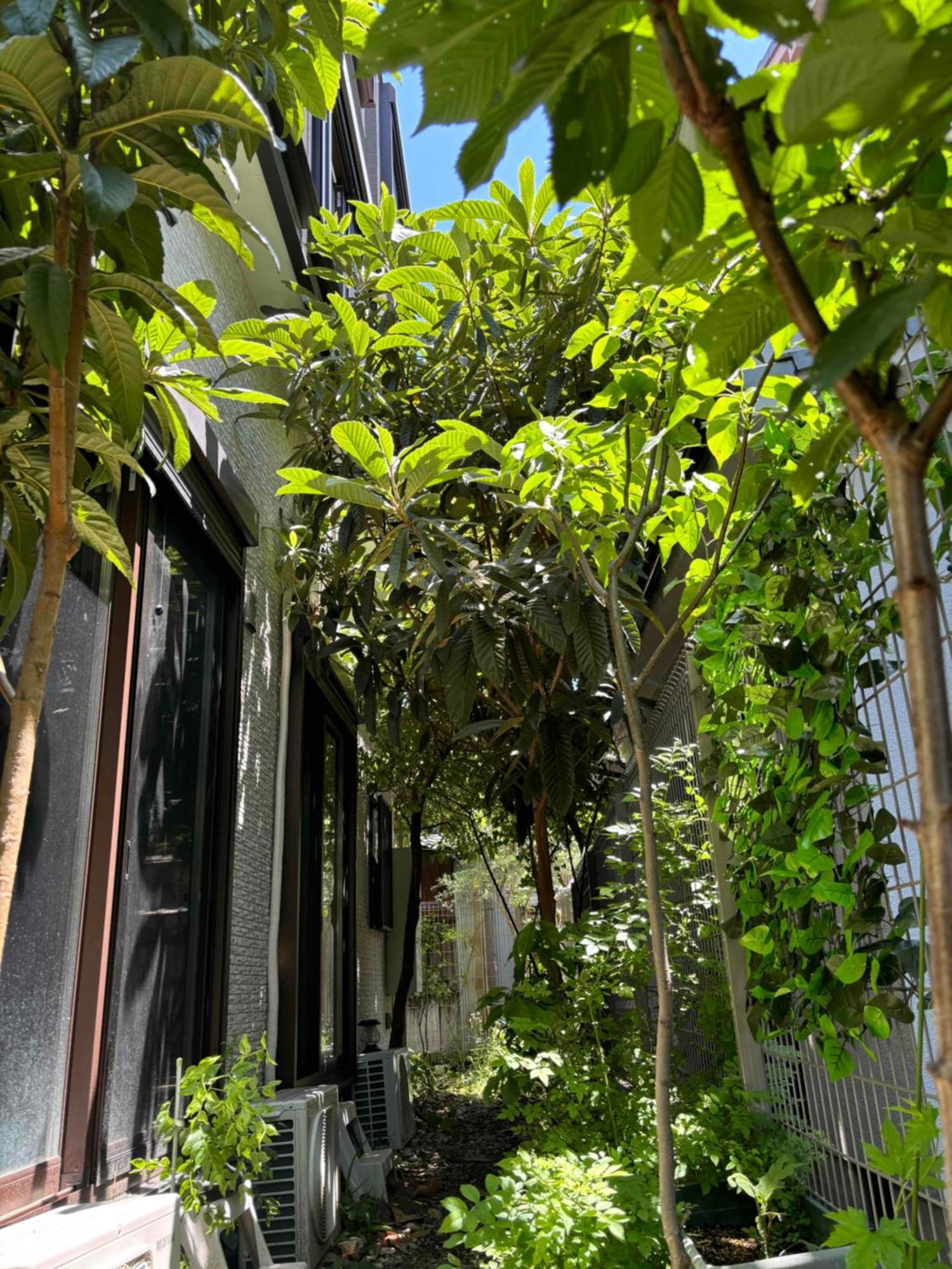 Guest House Harukawa Osaka Exterior foto